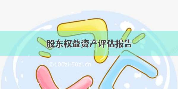 股东权益资产评估报告