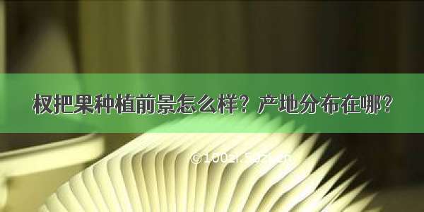 杈把果种植前景怎么样？产地分布在哪？