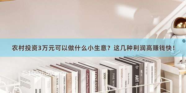 农村投资3万元可以做什么小生意？这几种利润高赚钱快！