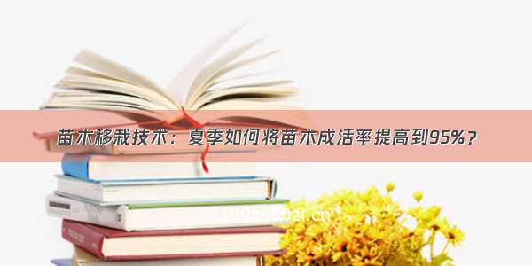 苗木移栽技术：夏季如何将苗木成活率提高到95%？