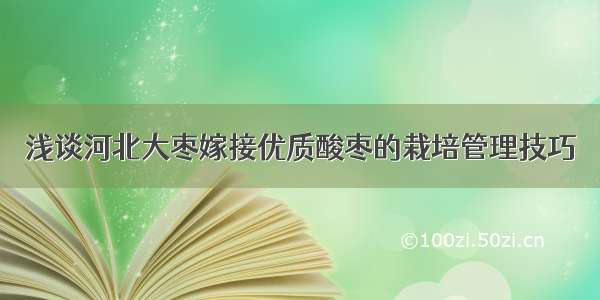 浅谈河北大枣嫁接优质酸枣的栽培管理技巧