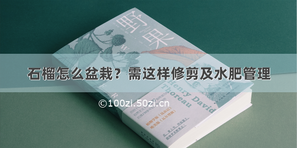 石榴怎么盆栽？需这样修剪及水肥管理