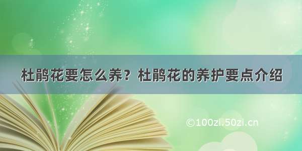 杜鹃花要怎么养？杜鹃花的养护要点介绍