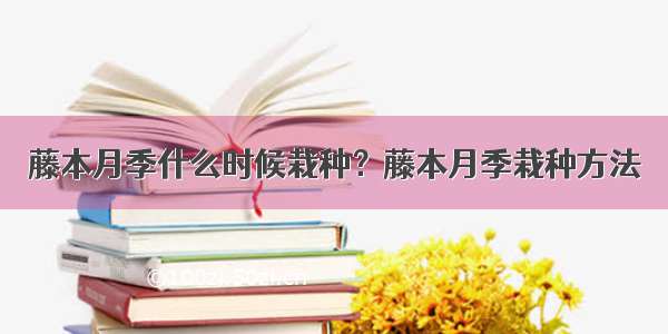 藤本月季什么时候栽种？藤本月季栽种方法