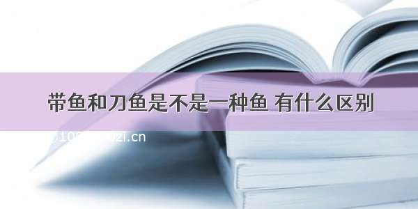 带鱼和刀鱼是不是一种鱼 有什么区别