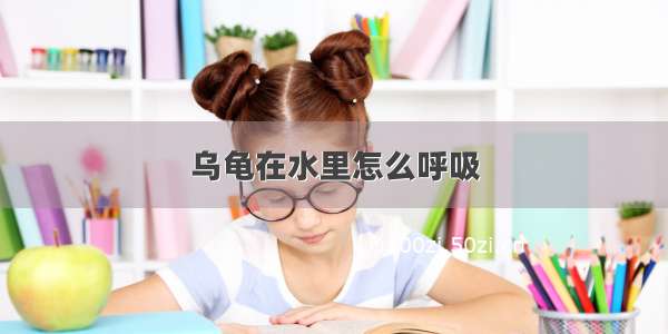 乌龟在水里怎么呼吸