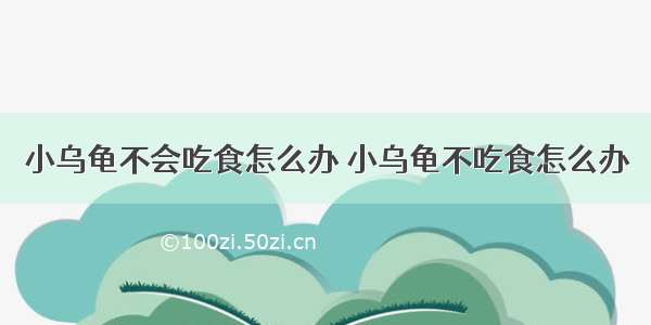 小乌龟不会吃食怎么办 小乌龟不吃食怎么办