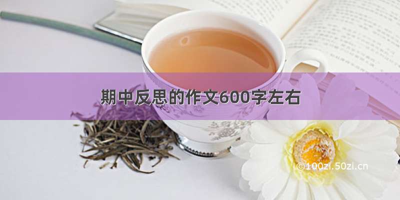 期中反思的作文600字左右