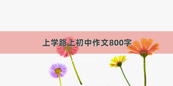 上学路上初中作文800字