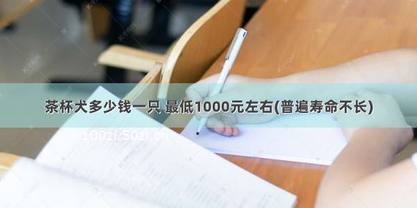 茶杯犬多少钱一只 最低1000元左右(普遍寿命不长)