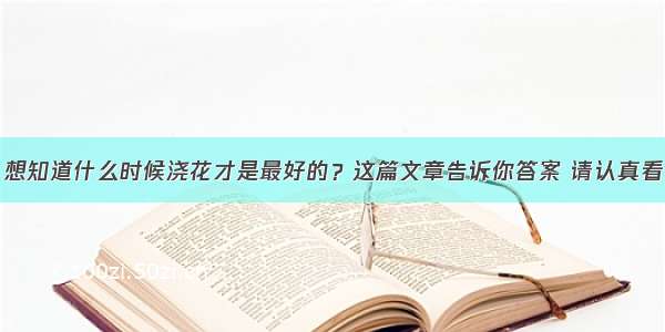 想知道什么时候浇花才是最好的？这篇文章告诉你答案 请认真看