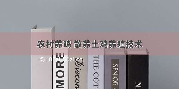 农村养鸡 散养土鸡养殖技术