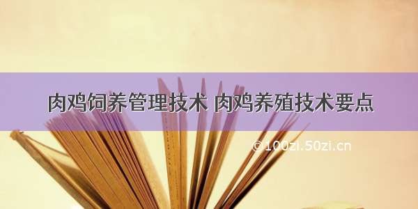 肉鸡饲养管理技术 肉鸡养殖技术要点