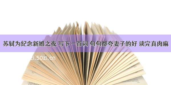 苏轼为纪念新婚之夜 写下一首词 句句都夸妻子的好 读完真肉麻