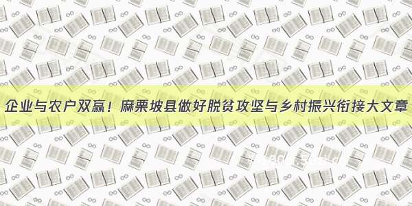 企业与农户双赢！麻栗坡县做好脱贫攻坚与乡村振兴衔接大文章