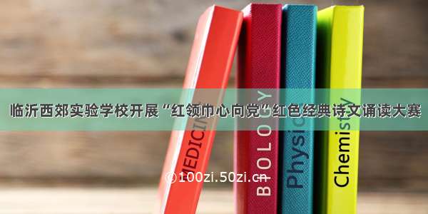 临沂西郊实验学校开展“红领巾心向党”红色经典诗文诵读大赛