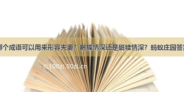 哪个成语可以用来形容夫妻？鹣鲽情深还是舐犊情深？蚂蚁庄园答案