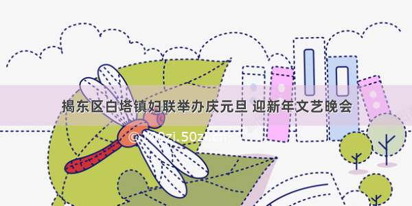 揭东区白塔镇妇联举办庆元旦 迎新年文艺晚会