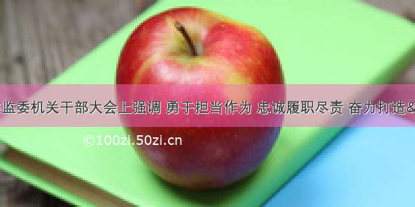 孙兵在市纪委监委机关干部大会上强调 勇于担当作为 忠诚履职尽责 奋力打造&ldquo;好正实