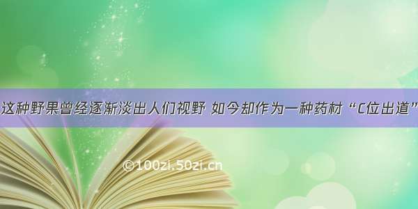 这种野果曾经逐渐淡出人们视野 如今却作为一种药材“C位出道”