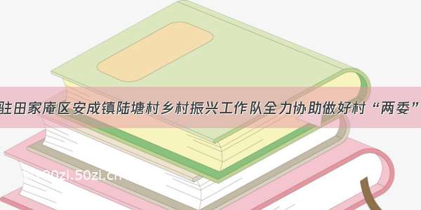 市人社局驻田家庵区安成镇陆塘村乡村振兴工作队全力协助做好村“两委”换届工作