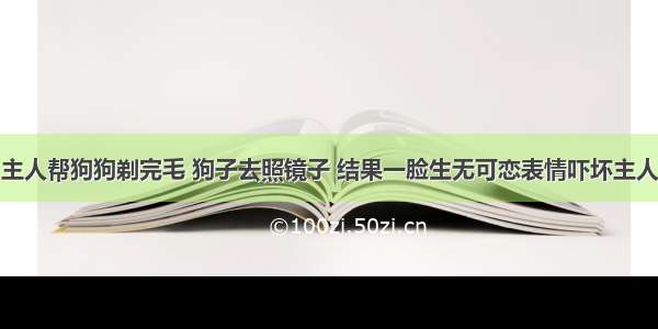 主人帮狗狗剃完毛 狗子去照镜子 结果一脸生无可恋表情吓坏主人