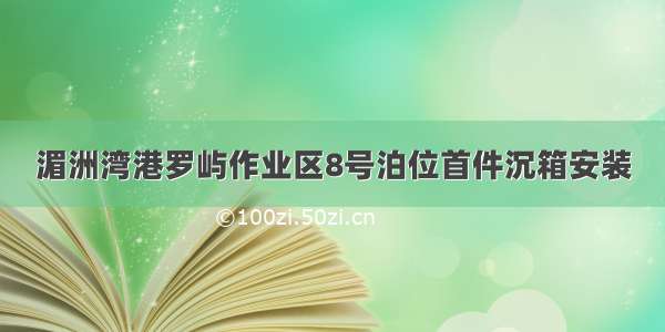 湄洲湾港罗屿作业区8号泊位首件沉箱安装