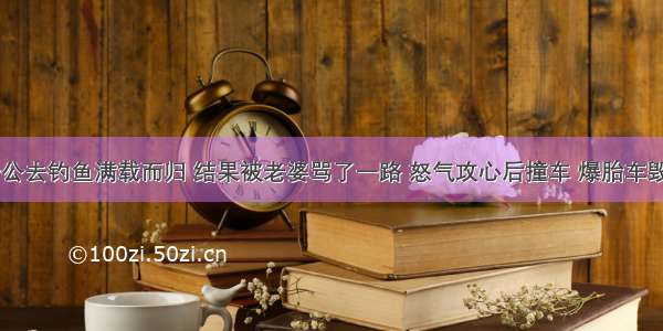 老公去钓鱼满载而归 结果被老婆骂了一路 怒气攻心后撞车 爆胎车毁…