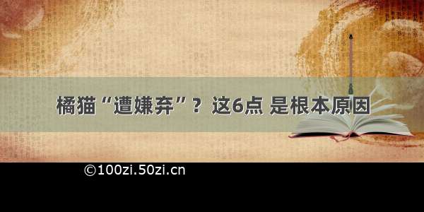 橘猫“遭嫌弃”？这6点 是根本原因