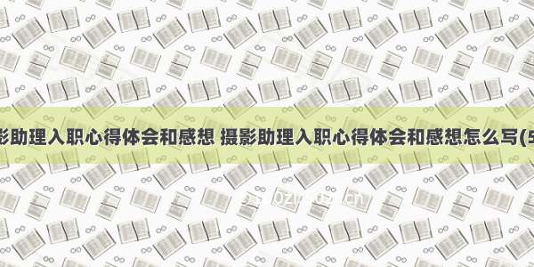 摄影助理入职心得体会和感想 摄影助理入职心得体会和感想怎么写(5篇)