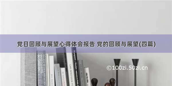 党日回顾与展望心得体会报告 党的回顾与展望(四篇)