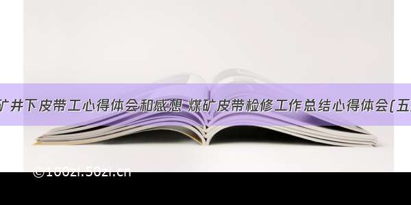 煤矿井下皮带工心得体会和感想 煤矿皮带检修工作总结心得体会(五篇)