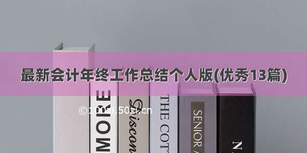 最新会计年终工作总结个人版(优秀13篇)