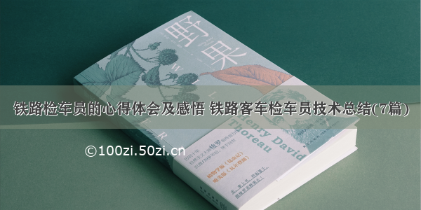 铁路检车员的心得体会及感悟 铁路客车检车员技术总结(7篇)