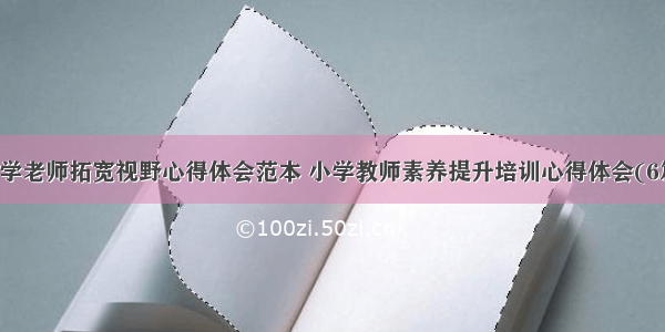 小学老师拓宽视野心得体会范本 小学教师素养提升培训心得体会(6篇)