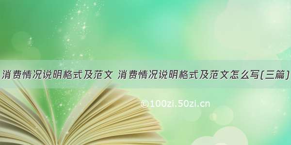 消费情况说明格式及范文 消费情况说明格式及范文怎么写(三篇)