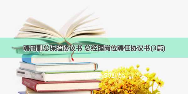 聘用副总保障协议书 总经理岗位聘任协议书(3篇)