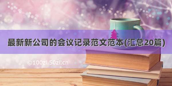 最新新公司的会议记录范文范本(汇总20篇)