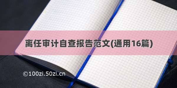 离任审计自查报告范文(通用16篇)