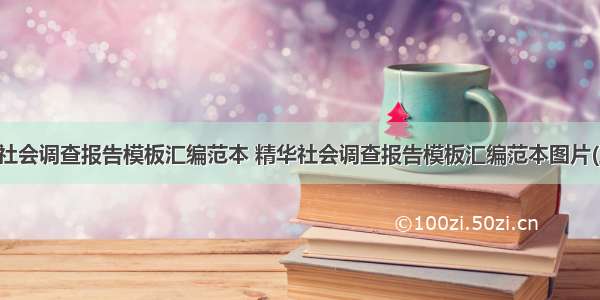 精华社会调查报告模板汇编范本 精华社会调查报告模板汇编范本图片(五篇)