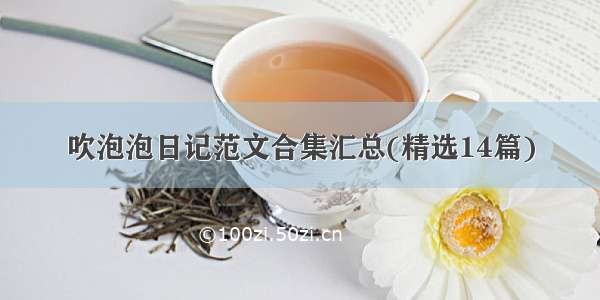 吹泡泡日记范文合集汇总(精选14篇)