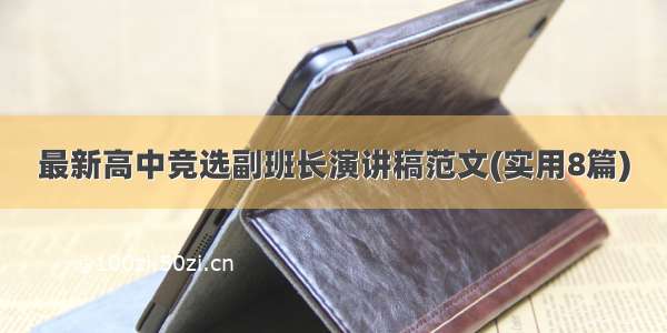 最新高中竞选副班长演讲稿范文(实用8篇)