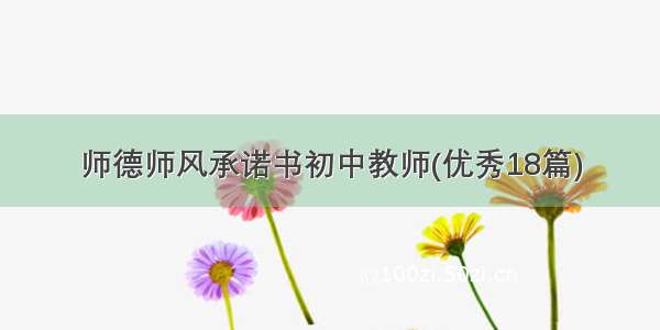 师德师风承诺书初中教师(优秀18篇)