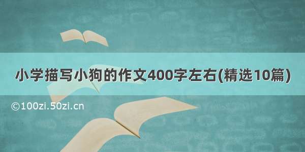 小学描写小狗的作文400字左右(精选10篇)