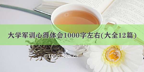 大学军训心得体会1000字左右(大全12篇)