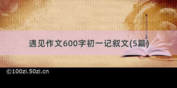 遇见作文600字初一记叙文(5篇)