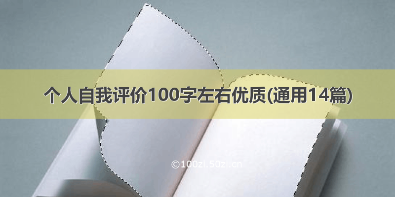 个人自我评价100字左右优质(通用14篇)