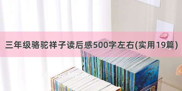 三年级骆驼祥子读后感500字左右(实用19篇)