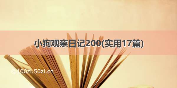 小狗观察日记200(实用17篇)