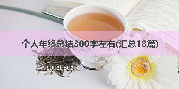 个人年终总结300字左右(汇总18篇)